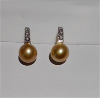 Earrings Soprana Woman PERLE in Gold Diamante 1.02 Ct OMK11-3 GOLD - OMK11-3 GOLD
